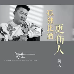 孤独比酒更伤人(DJ默涵版)-笑天
