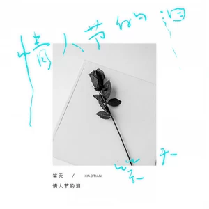 情人节的泪-笑天