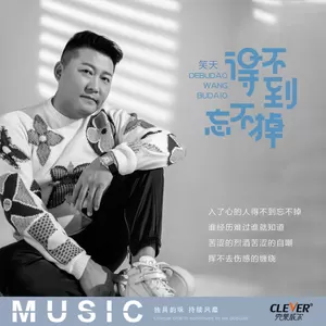 得不到忘不掉(DJ版伴奏)