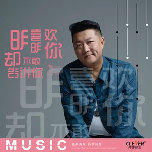 明明喜欢你却不敢告诉你(DJ沈念版)-笑天