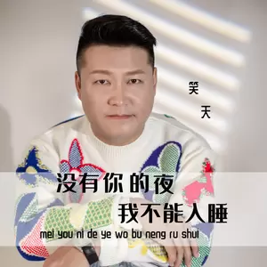 没有你的夜我不能入睡(伴奏)-笑天
