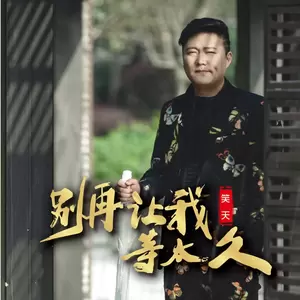 别再让我等太久(DJ何鹏版)