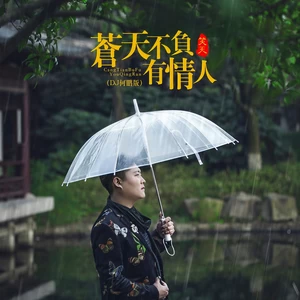 苍天不负有情人(DJ何鹏版)