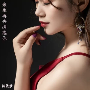 来生再去拥抱你(女声版)