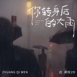 你转身后的大雨