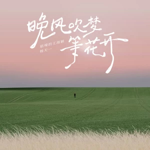 晚风吹梦等花开