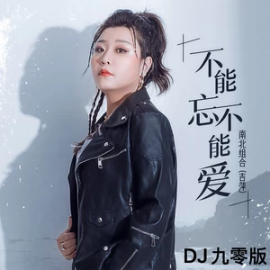 不能忘不能爱(DJ九零版)