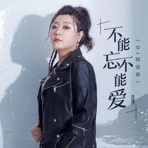 不能忘不能爱(DJ阿远版伴奏)