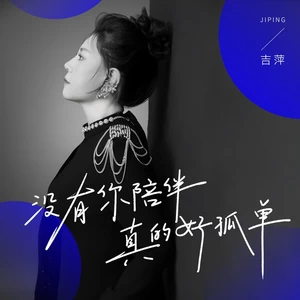 没有你陪伴真的好孤单(DJ九零版)