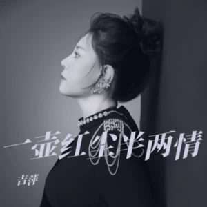 《一壶红尘半两情》 （DJ阿远版）(伴奏)