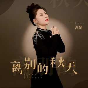 离别的秋天(DJ九零版)