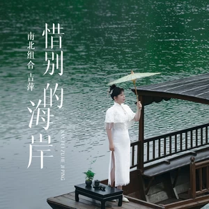 惜别的海岸(伴奏)