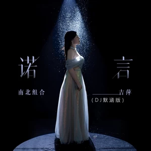 诺言(DJ默涵版伴奏)