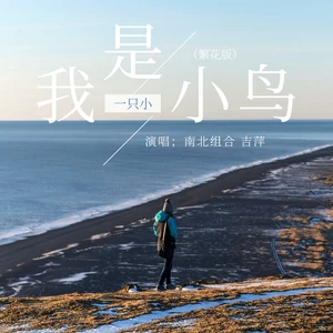我是一只小小鸟(繁花版)