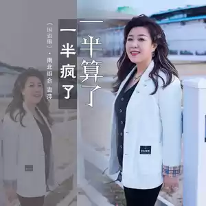 一半疯了一半算了(国语版)