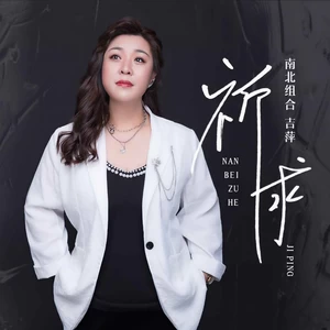 祈求(DJ默涵版伴奏)
