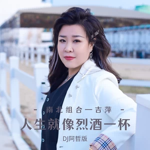 人生就像烈酒一杯（DJ阿哲版）