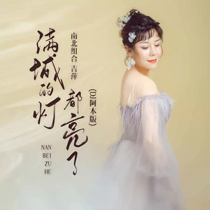 满城的灯都亮了(DJ阿本版伴奏)