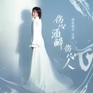 伤心酒醉伤心人(伴奏)