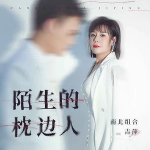 陌生的枕边人(DJ默涵版)