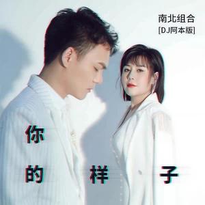 你的样子(DJ阿本版)
