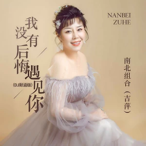 我没有后悔遇见你(DJ默涵版)