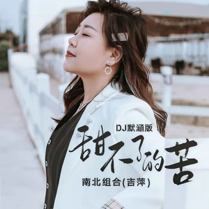 甜不了的苦(DJ默涵版伴奏)