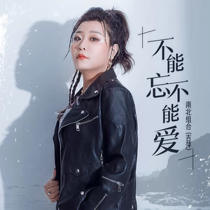不能忘不能爱(伴奏)