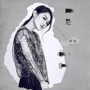 口是心非(DJ沈念版)