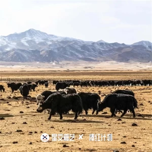 穷人歌