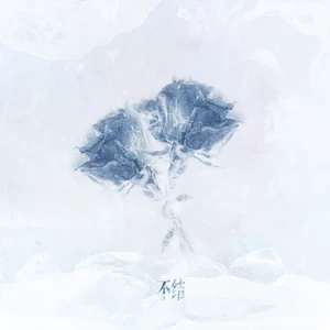 不结