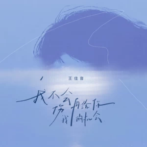我不会再给你伤我的机会-王佳音