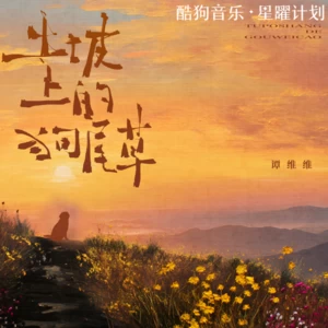 土坡上的狗尾草-谭维维
