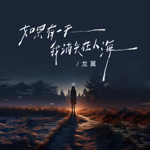 如果有一天我消失在人海