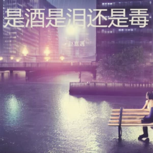 是酒是泪还是毒