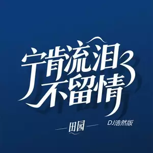 宁肯流泪不留情(DJ浩然版伴奏)