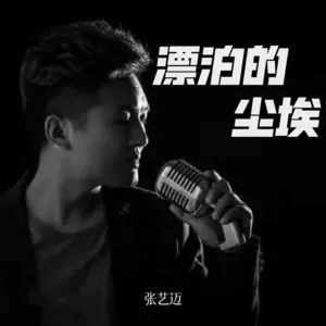 漂泊的尘埃
