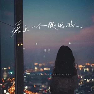 爱上一个很忙的人(DJ长梦x1.1版)