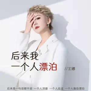 后来我一个人漂泊 (醒不来的梦)-王娜