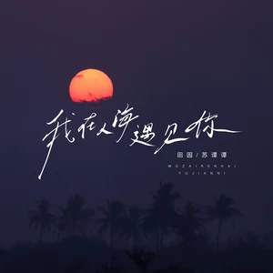 我在人海遇见你(合唱)-田园/苏谭谭
