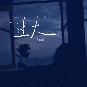 过火（DJ默涵版）