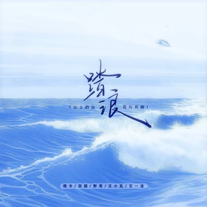 踏浪（山上的山花儿开呀）(DJR7版)