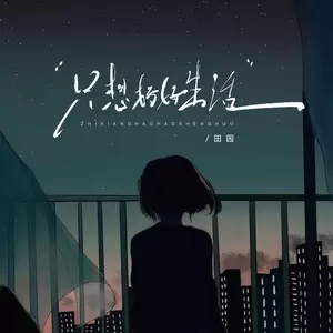 只想好好生活(DJ默涵版伴奏)