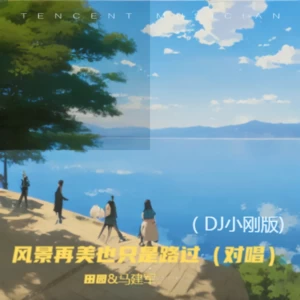 风景再美也只是路过（对唱DJ小刚）版(伴奏)