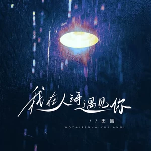我在人海遇见你(深情版)