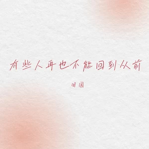 有些人再也不能回到从前（DJEva版）伴奏-田园