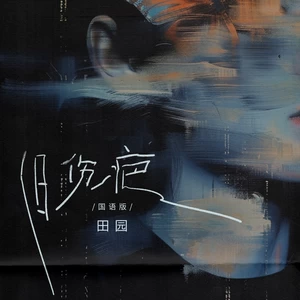 旧伤疤(DJ九零国语版伴奏)-田园