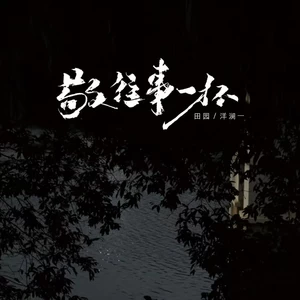 敬往事一杯(DJ EVA版)