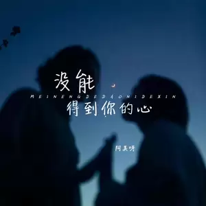 没能得到你的心