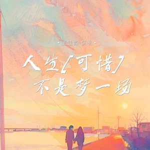 人生(可惜)不是梦一场-王佳音